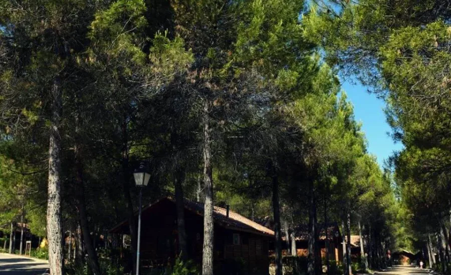 mapa de acceso para llegar a las cabañas rurales valle del cabriel en villatoya, junto al balneario de la concepción