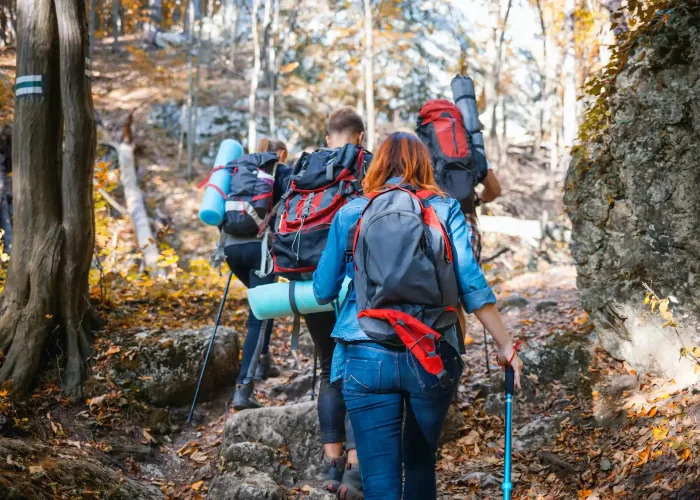 group-of-hikers-walking-through-the-mountain-trail-2024-10-31-04-20-16-utc