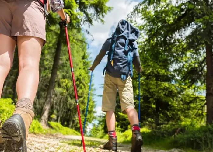 senderistas recorriendo un camino de montaña entre pinares en el valle del cabriel